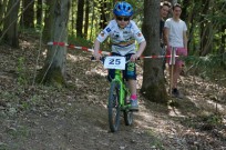 Foto auf 16.06.2024 - Lassnitzhöhe +PT