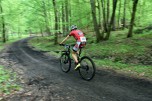 Foto auf 16.06.2024 - Lassnitzhöhe +PT