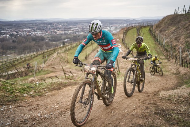 Foto auf 30.03.2025 - Langenlois/Zöbing