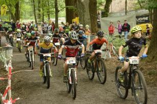Foto auf OeRV MTB RENNSERIEN-NL 2022.3